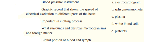 Match the terms to their definitions.