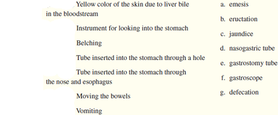 Match the medical terms to their definitions.