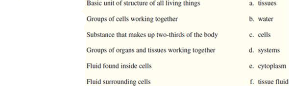 Match the appropriate term to the characteristic or description.  <div style=padding-top: 35px> 