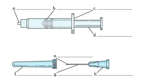 Answer the following questions in the spaces provided.  Identify the parts of a needle and syringe on the drawings below.   