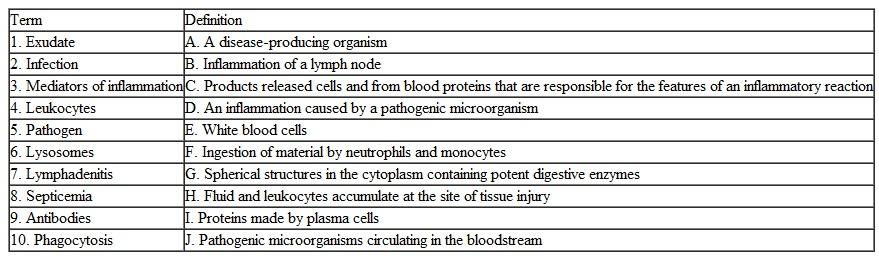 Match the term with its definition.   