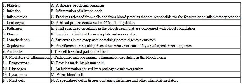 Match the term with its definition.   