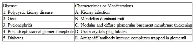 Match the items in the left column with the characteristic or property in the right column.   
