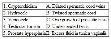Match the disease or condition in the left column with its characteristic features in the right column.
