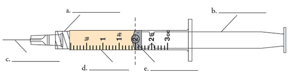 Labeling Label the parts of a syringe.