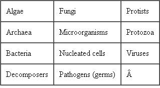Construct a concept map for Microbial Agents , using the following terms. ( Key Concept 4 )   