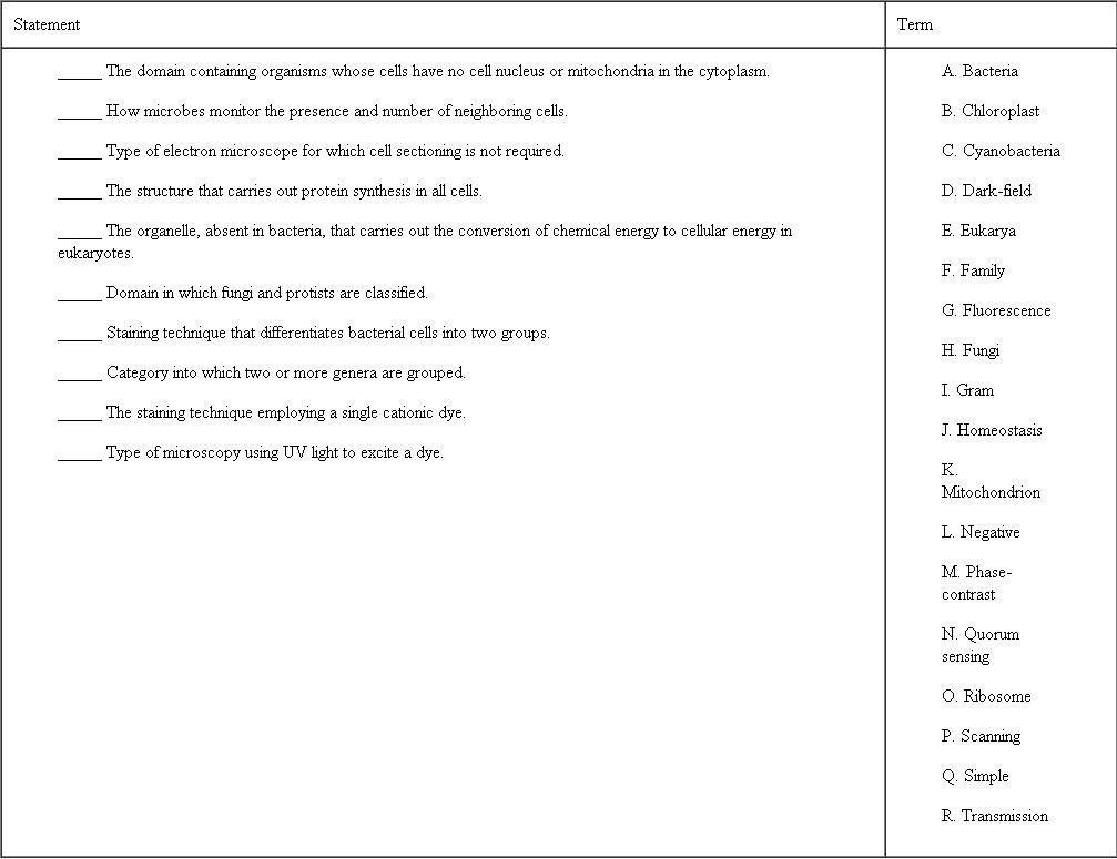 Match the statement on the left to the term on the right by placing the letter of the term in the available space.   