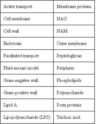Construct a concept map for the Cell Envelope using the following terms. ( Key Concept 5 )   