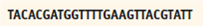 Answer the following questions that pertain to (1) transcription and translation, and (2) mutations. Use the genetic code (Table). Use the base sequence to answer the following questions about mutations.     A. Is the sequence above a single strand of DNA or RNA Why  B. Using the sequence above, show the translation result if a mutation results in a C replacing the T at base 12 from the left end of the sequence. Is this an example of a silent, missense, or nonsense mutation  C. Using the sequence above, show the translation result if a mutation results in an A inserted between the T (base 12) and the T (base 13) from the left end of the sequence. Is this an example of a silent, missense, or nonsense mutation  Table: The Genetic Code Decoder    