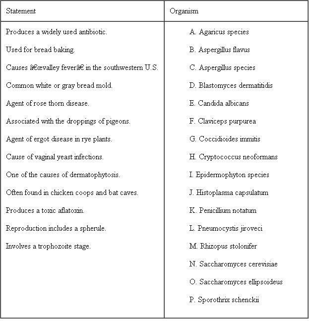 Match the statement on the left to the organism on the right by placing the correct letter in the available space. A letter may be used once, more than once, or not at all.   