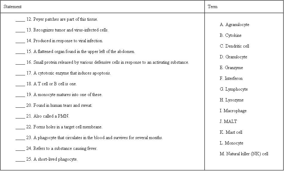 Matching Match the statement on the left to the term on the right by placing the correct letter in the available space. A term may be used once, more than once, or not at all.   