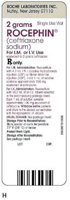 You are working in a pediatric ICU where your patient is a 3-year-old boy who has a staphylococcal skin infection in the area surrounding his incision. His attending physician has prescribed the following treatment. You know from his chart that he weighs 40 lb. Ordered: Rocephin 600 mg IV over 30 min bid On hand: Refer to label H. According to the package insert, for pediatric patients with skin infections, the recommended total daily dose is 50 to 75 mg/kg/day given once a day (or in equally divided doses twice a day). The total daily dose should not exceed 2 g. The Rocephin is reconstituted to a dosage strength of 40 mg/mL.    Figure 11-13  What is the recommended range of doses for this patient?