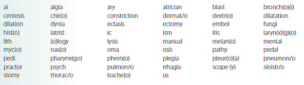 Select the correct word parts from the following list and construct medical terms that represent the given meaning.   right-footed____________________________________<div style=padding-top: 35px> 