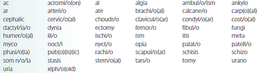 Select the correct word parts from the following list and construct medical terms that represent the given meaning.     split spine (spina bifida) _________________________________