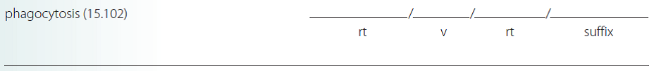 Give a brief definition and dissect each term listed into its word parts in the space provided. Check your answer by referring to the frame listed in parentheses and your medical dictionary. Then listen to the Audio CD to practice pronunciation.  <div style=padding-top: 35px> 