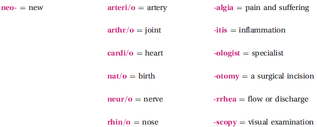 These terms are not found in this chapter; however, they are made up of the following familiar word parts. If you need help in creating the term, refer to your medical dictionary.    The term meaning an inflammation of the nose is ________________________________________