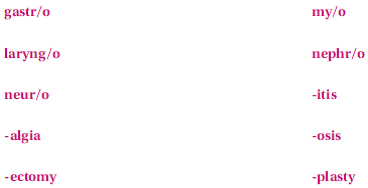 These terms are not found in this chapter; however, they are made up of the following familiar word parts. If you need help in creating the term, refer to your medical dictionary.    The term meaning the surgical removal of part of a muscle is /an______________________________________________
