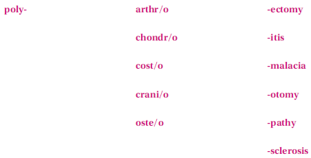 These terms are not found in this chapter; however, they are made up of the following familiar word parts. If you need help in creating the term, refer to your medical dictionary.    The surgical removal of a rib or ribs is a/an ________________________________
