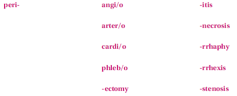These terms are not found in this chapter; however, they are made up of the following familiar word parts. If you need help in creating the term, refer to your medical dictionary.    To surgically suture the wall of the heart is a/an _______________________________