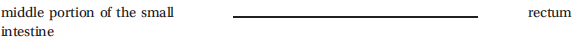 Write the correct answer in the middle column.    