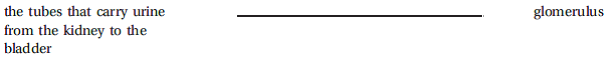 Write the correct answer in the middle column.