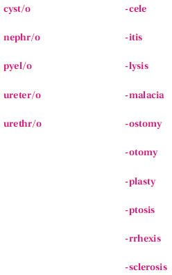 These terms are not found in this chapter; however, they are made up of the following familiar word parts. If you need help in creating the term, refer to your medical dictionary. The creation of an artificial opening between the urinary bladder and the exterior of the body is a/an _____________________