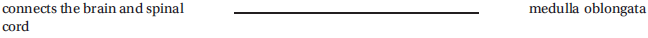 Write the correct answer in the middle column.