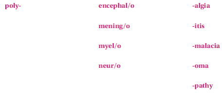 These terms are not found in this chapter; however, they are made up of the following familiar word parts. If you need help in creating the term, refer to your medical dictionary.    A benign neoplasm made up of nerve tissue is a/an _______________________________________