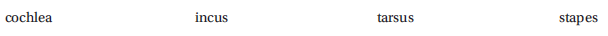Select the correct answer, and write it on the line provided. The ______________________________ is the snail-shaped structure of the inner ear.