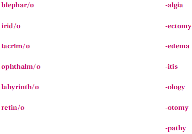 These terms are not found in this chapter; however, they are made up of the following familiar word parts. If you need help in creating the term, refer to your medical dictionary.    The term meaning any disease of the iris is________________________________