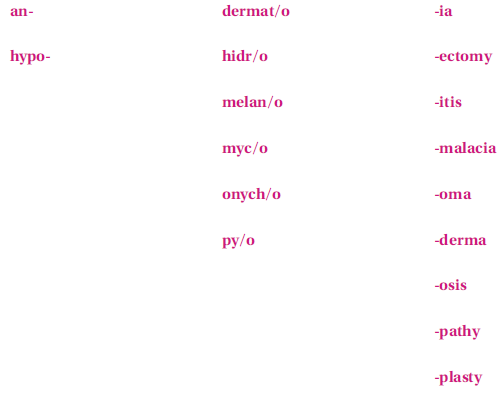 These terms are not found in this chapter; however, they are made up of the following familiar word parts. If you need help in creating the term, refer to your medical dictionary.    The plastic surgery procedure to change the shape or size of the nose is a/an_______________________________