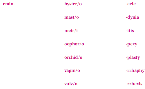These terms are not found in this chapter; however, they are made up of the following familiar word parts. If you need help in creating the term, refer to your medical dictionary.    The term meaning the rupture of the uterus, particularly during pregnancy, is __________________________