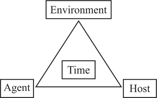     <div class=answer> The traditional epidemiology triangle is created on the basis of model in which diseases are communicable and is very helpful in presenting the relationship between the host, time, agent, and environment which is also used in investigating epidemics and diseases. Host is any organism which is generally an animal or a human that carries disease, the agent include the disease causing source which can be a microbe or a chemical and may others, time includes the incubation period, time of illness or the diseased condition, and environment includes the conditions and surroundings which is outside of an animal or a human that is the main cause or which spread the disease.   