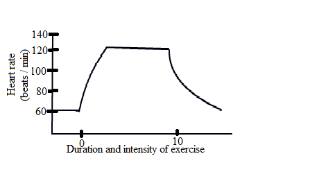     <div class=answer> Heart rate is the number of heart beats per minute. It is the speed at which the heart beats. The normal adult heart beat at resting stage is 60 – 100 bpm. During exercise, the heart rate changes and the change depends on the type of work involved. Generally, heart rate is higher during arm work compared to that of the leg work, at a specific oxygen uptake rate. Exercise in hot and humid climates results in higher heart rate when compared to the same work done at cold and dry climates. During an intensity exercise, there is a gradual increase in the heart rate until it reaches a plateau where there is no further increase. The changes in the heart rate with respect to intensity exercise are shown in the graph below:   Figure 1: Graphical representation of changes in heart beat with respect to intensity exercise 