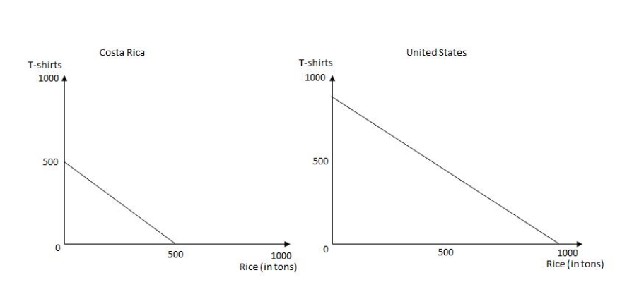 <strong>Exhibit 2.1 Refer to Exhibit 2.1, which shows the production for rice and T-shirts for two countries: Costa Rica and the United States. In Costa Rica, the opportunity cost of 1 ton of rice is _____</strong> A) equal to 1/2 of a T-shirt B) equal to 3/4 of a T-shirt C) equal to 1 T-shirt D) equal to 11/2 T-shirts E) equal to 2 T-shirts