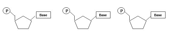 Complete the incomplete diagrams below to show the key structural difference between an NTP, dNTP, and ddNTP (e.g., CTP, dCTP, ddCTP).  ‪   (a) What do  d  and  dd  stand for? (b) Explain why ddNTPs are called  chain terminators  in DNA sequencing reactions.