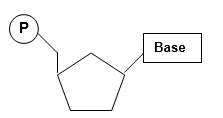 Starting with the dNTP shown below, draw a clearly labeled diagram showing where the linking bond is between two nucleotides in the same DNA chain. Name the bond. Label the 5′ and 3′ ends of the DNA chain. ‪  <div style=padding-top: 35px> 