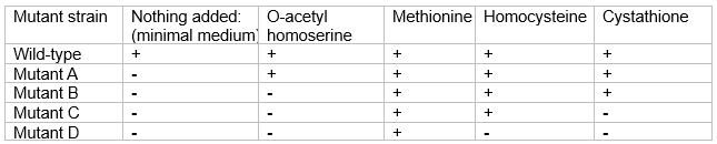 Four independent methionine auxotrophs of Neurospora were studied to determine which related compounds might substitute for their methionine requirement. In the table below  +  indicates growth on minimal medium supplemented with the indicated compound, and  -  indicates no growth. ‪   Based on the results, give the order of these four compounds in the biosynthetic pathway of methionine.