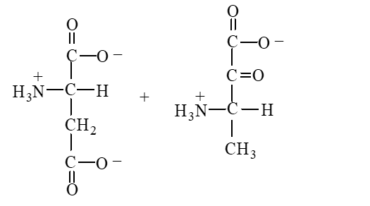 Which of the following is produced when the amino acid aspartate undergoes transamination reaction shown here?   A)    B)    C)    D)   