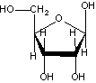 The following image is a sugar found in nucleic acids:   It is ___ and is found in the nucleic acid ___. A)  ribose/DNA B)  deoxyribose/DNA C)  ribose/RNA D)  deoxyribose/RNA