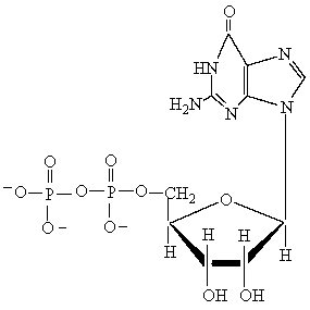 Which of the following statements is true about the given nucleotide?   A)  The nitrogen-containing base is a pyrimidine derivative. B)  The nucleotide can be found in both RNA and DNA. C)  The monosaccharide unit is 2-deoxyribose. D)  The phosphate group is attached to the monosaccharide at carbon 3'.