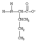 What form does isoleucine take at pH 14? A)    B)    C)    D)   