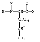 What form does isoleucine take at pH 14? A)    B)    C)    D)   