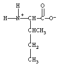 What form does isoleucine take at pH 14? A)    B)    C)    D)   