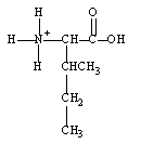 What form does isoleucine take at pH 14? A)    B)    C)    D)   
