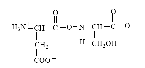 The form of dipeptide aspatylserine (Asp-Ser)  obtained from two amino acids, aspartic acid and serine, whose structures are shown here, is   A)    B)    C)    D)   