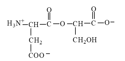 The form of dipeptide aspatylserine (Asp-Ser)  obtained from two amino acids, aspartic acid and serine, whose structures are shown here, is   A)    B)    C)    D)   
