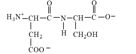 The form of dipeptide aspatylserine (Asp-Ser)  obtained from two amino acids, aspartic acid and serine, whose structures are shown here, is   A)    B)    C)    D)   