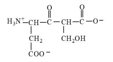 The form of dipeptide aspatylserine (Asp-Ser)  obtained from two amino acids, aspartic acid and serine, whose structures are shown here, is   A)    B)    C)    D)   