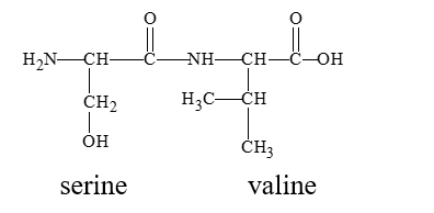 Where is the peptide bond located in this dipeptide?   A)  the CO-NH joining serine and the valine B)  the doubly bonded oxygen just left of center between the amino acids C)  the CH-CO on the top of the serine going to the right D)  the NH-CH between the serine and valine
